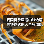 我国首条直通中越边境高铁正式进入全线铺轨阶段！