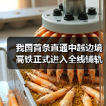 我国首条直通中越边境高铁正式进入全线铺轨阶段！