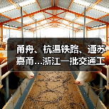 甬舟、杭温铁路、通苏嘉甬…浙江一批交通工程进度条刷新(图2) 甬舟、杭温铁路、通苏嘉甬…浙江一批交通工程进度条刷新(图2)