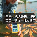 甬舟、杭温铁路、通苏嘉甬…浙江一批交通工程进度条刷新(图3) 甬舟、杭温铁路、通苏嘉甬…浙江一批交通工程进度条刷新(图3)