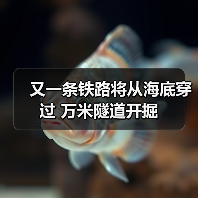又一条铁路将从海底穿过 万米隧道开掘(图4) 又一条铁路将从海底穿过 万米隧道开掘(图4)