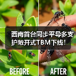 西南首台同步平导多支护敞开式TBM下线！