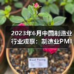 2023年6月中国制造业行业观察:制造业PMI有所回升 2023年6月中国制造业行业观察:制造业PMI有所回升