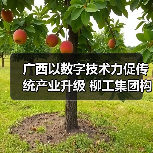 广西以数字技术力促传统产业升级 柳工集团构建“智能制造”(图1) 广西以数字技术力促传统产业升级 柳工集团构建“智能制造”(图1)