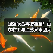 强强联合再谱新篇！山东临工与江苏某集团大客户挖掘机交机（图1）