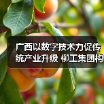 广西以数字技术力促传统产业升级 柳工集团构建“智能制造”(图3) 广西以数字技术力促传统产业升级 柳工集团构建“智能制造”(图3)