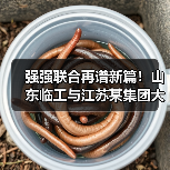 强强联合再谱新篇！山东临工与江苏某集团大客户挖掘机交机（图3）