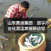 山东高速集团:数字产业化激活发展新动能 山东高速集团:数字产业化激活发展新动能
