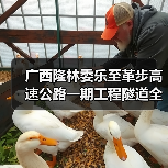 广西隆林委乐至革步高速公路一期工程隧道全部贯通（图3）