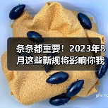 条条都重要！2023年8月这些新规将影响你我生活（图1）