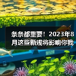 条条都重要！2023年8月这些新规将影响你我生活（图3）