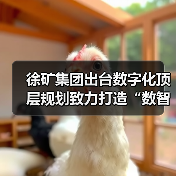 徐矿集团出台数字化顶层规划致力打造“数智徐矿”（图2）