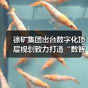 徐矿集团出台数字化顶层规划致力打造“数智徐矿”（图4）