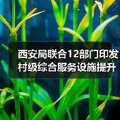 西安局联合12部门印发村级综合服务设施提升工程方案(图4) 西安局联合12部门印发村级综合服务设施提升工程方案(图4)