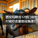 西安局联合12部门印发村级综合服务设施提升工程方案(图1) 西安局联合12部门印发村级综合服务设施提升工程方案(图1)