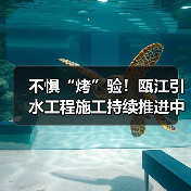 不惧“烤”验！瓯江引水工程施工持续推进中（图4）