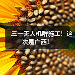 三一无人机群施工!这次是广西!(图4) 三一无人机群施工!这次是广西!(图4)