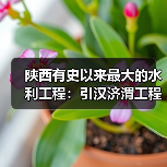 陕西有史以来最大的水利工程:引汉济渭工程正式通水(图2) 陕西有史以来最大的水利工程:引汉济渭工程正式通水(图2)
