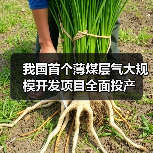 我国首个薄煤层气大规模开发项目全面投产（图3）