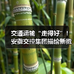 交通运输“走得好”!安徽交控集团描绘新徽道“皖美”图景(图1) 交通运输“走得好”!安徽交控集团描绘新徽道“皖美”图景(图1)