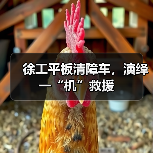 徐工平板清障车,演绎一“机”救援(图2) 徐工平板清障车,演绎一“机”救援(图2)