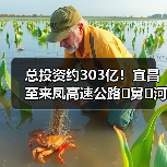 总投资约303亿!宜昌至来凤高速公路�舅�河大桥贯通 总投资约303亿!宜昌至来凤高速公路�舅�河大桥贯通
