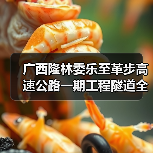 广西隆林委乐至革步高速公路一期工程隧道全部贯通(图1) 广西隆林委乐至革步高速公路一期工程隧道全部贯通(图1)