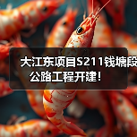 大江东项目S211钱塘段公路工程开建！（图3）
