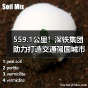 559.1公里!深铁集团助力打造交通强国城市范例(图4) 559.1公里!深铁集团助力打造交通强国城市范例(图4)