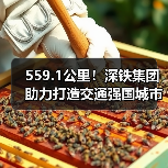 559.1公里!深铁集团助力打造交通强国城市范例(图3) 559.1公里!深铁集团助力打造交通强国城市范例(图3)