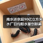 南水进京超90亿立方米 水厂日均取水量创新高（图2）