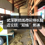武深联络线荷花特长隧道实现“双线”贯通(图3) 武深联络线荷花特长隧道实现“双线”贯通(图3)