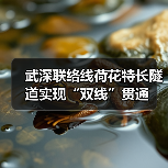 武深联络线荷花特长隧道实现“双线”贯通(图1) 武深联络线荷花特长隧道实现“双线”贯通(图1)