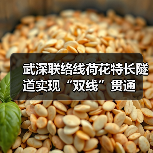 武深联络线荷花特长隧道实现“双线”贯通(图4) 武深联络线荷花特长隧道实现“双线”贯通(图4)