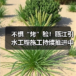 不惧“烤”验!瓯江引水工程施工持续推进中(图2) 不惧“烤”验!瓯江引水工程施工持续推进中(图2)