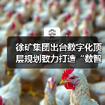 徐矿集团出台数字化顶层规划致力打造“数智徐矿”（图3）