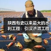 陕西有史以来最大的水利工程:引汉济渭工程正式通水(图1) 陕西有史以来最大的水利工程:引汉济渭工程正式通水(图1)