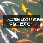 大江东项目S211钱塘段公路工程开建！（图1）