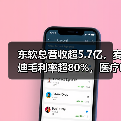 东软总营收超5.7亿，麦迪毛利率超80%，医疗IT公司半年报数据的背后（图2）
