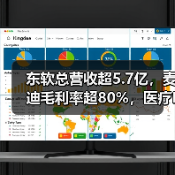 东软总营收超5.7亿，麦迪毛利率超80%，医疗IT公司半年报数据的背后（图3）