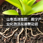 山东高速集团:数字产业化激活发展新动能 山东高速集团:数字产业化激活发展新动能