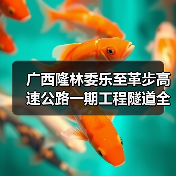 广西隆林委乐至革步高速公路一期工程隧道全部贯通(图4) 广西隆林委乐至革步高速公路一期工程隧道全部贯通(图4)