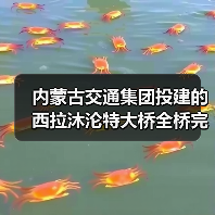 内蒙古交通集团投建的西拉沐沦特大桥全桥完成合龙!(图3) 内蒙古交通集团投建的西拉沐沦特大桥全桥完成合龙!(图3)