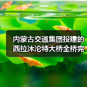内蒙古交通集团投建的西拉沐沦特大桥全桥完成合龙!(图2) 内蒙古交通集团投建的西拉沐沦特大桥全桥完成合龙!(图2)