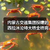 内蒙古交通集团投建的西拉沐沦特大桥全桥完成合龙!(图1) 内蒙古交通集团投建的西拉沐沦特大桥全桥完成合龙!(图1)