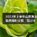 2023年上半年山东黄金集团顺利实现“双过半”(图2) 2023年上半年山东黄金集团顺利实现“双过半”(图2)