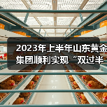 2023年上半年山东黄金集团顺利实现“双过半”(图4) 2023年上半年山东黄金集团顺利实现“双过半”(图4)