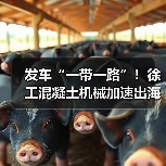 发车“一带一路”!徐工混凝土机械加速出海!(图4) 发车“一带一路”!徐工混凝土机械加速出海!(图4)