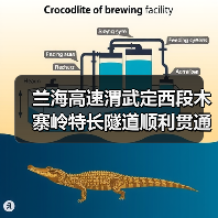 兰海高速渭武定西段木寨岭特长隧道顺利贯通(图1) 兰海高速渭武定西段木寨岭特长隧道顺利贯通(图1)