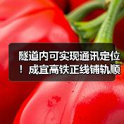 隧道内可实现通讯定位!成宜高铁正线铺轨顺利完成(图2) 隧道内可实现通讯定位!成宜高铁正线铺轨顺利完成(图2)